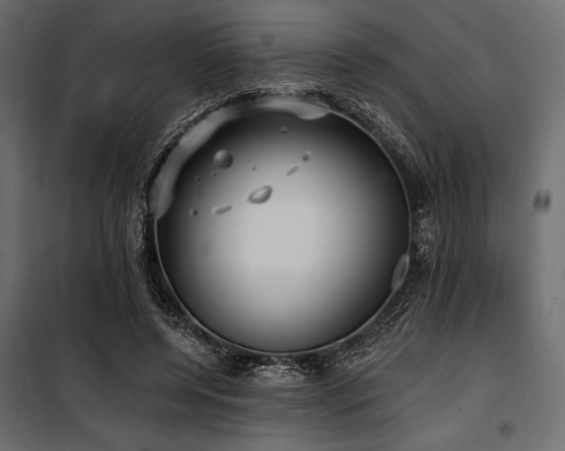 X0000100870544200806201243