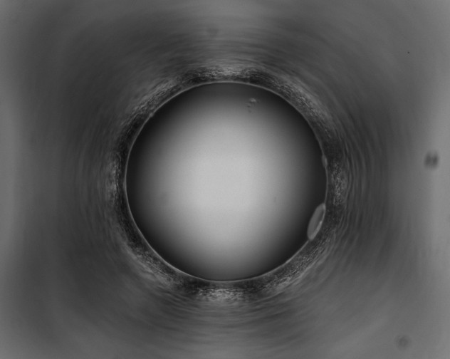 X0000100870546200806201243