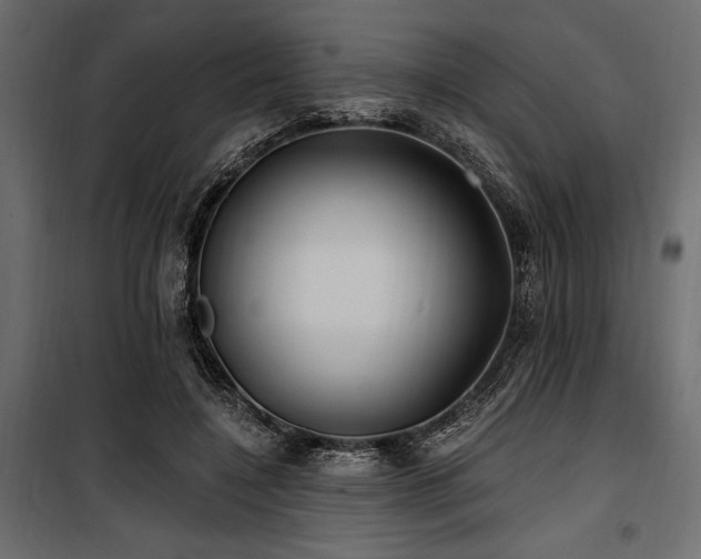 X0000100870548200806201243