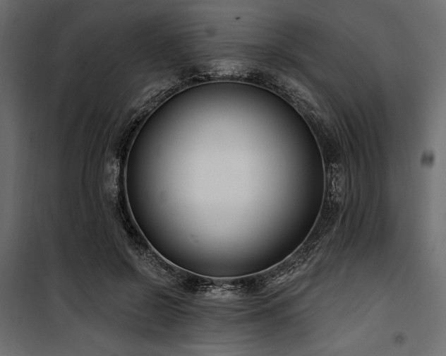 X0000100870550200806201243