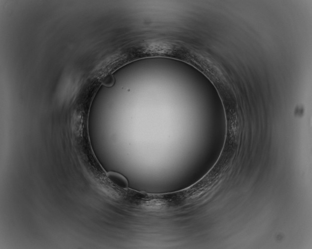 X0000100870551200806201243