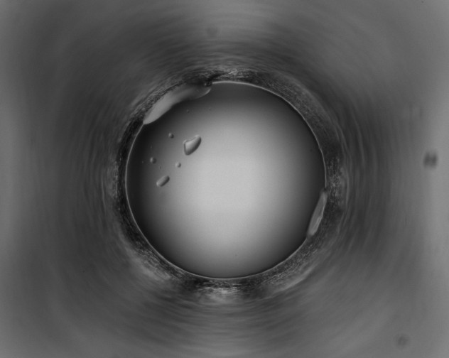 X0000100870552200806201243