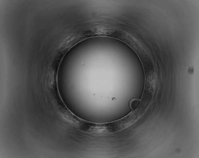 X0000100870554200806201243