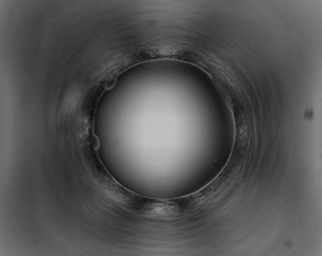 X0000100870555200806201243