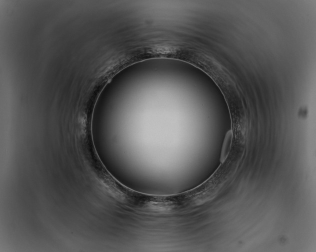 X0000100870556200806201243