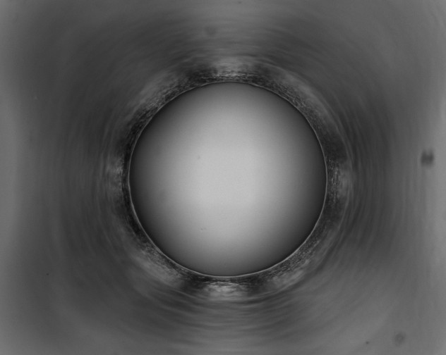 X0000100870557200806201243