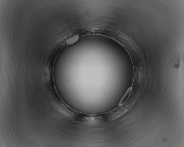 X0000100870558200806201243