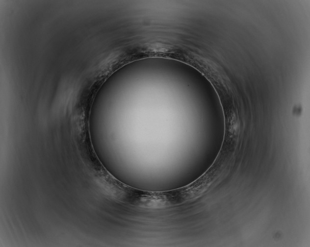 X0000100870559200806201243