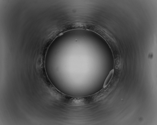 X0000100870560200806201243