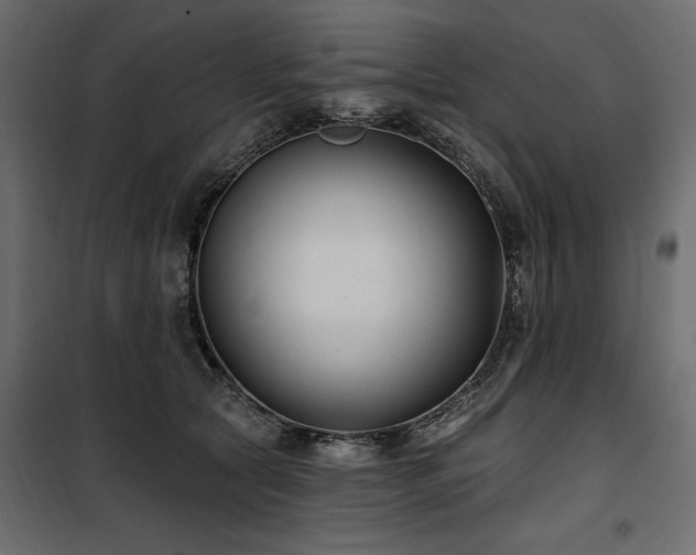 X0000100870561200806201243