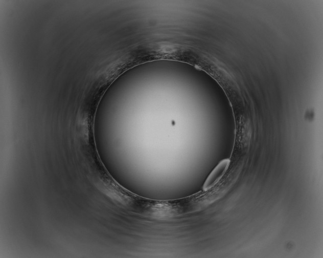X0000100870562200806201243