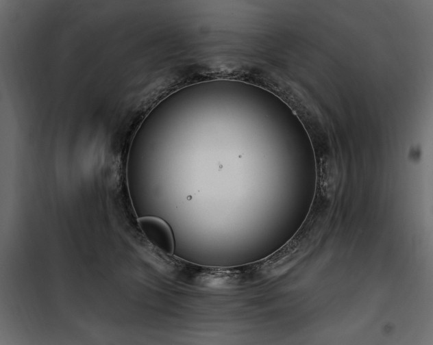 X0000100870563200806201243