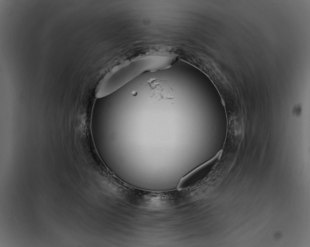 X0000100870564200806201243