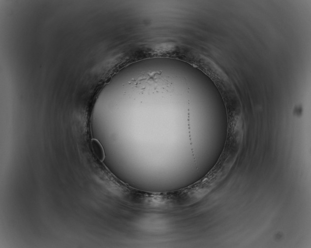 X0000100870565200806201243
