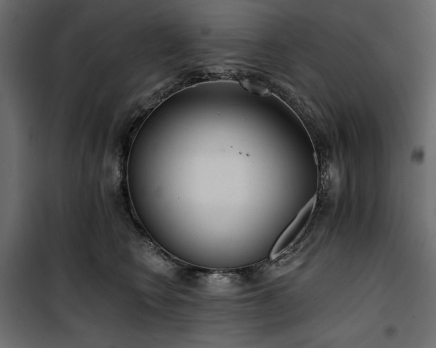 X0000100870566200806201243