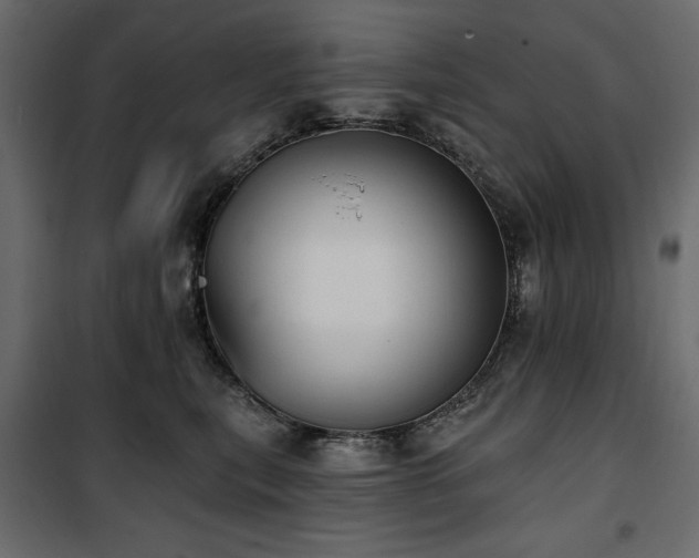 X0000100870567200806201243