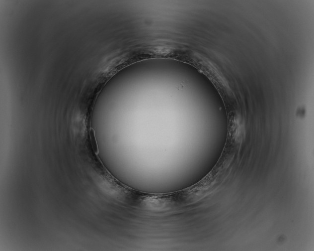 X0000100870568200806201243