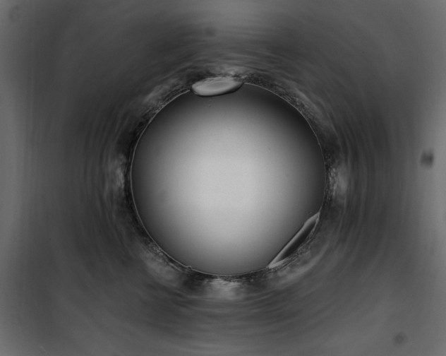 X0000100870570200806201243