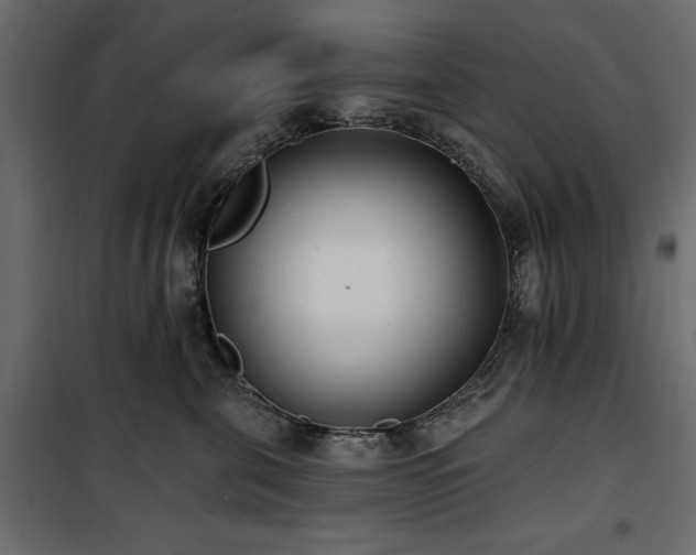 X0000100870571200806201243