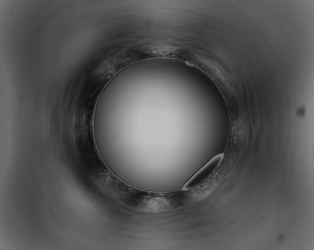 X0000100870572200806201244