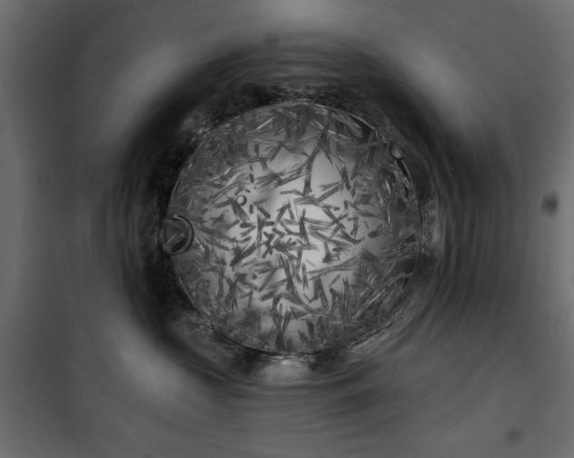 X0000100870573200806201244