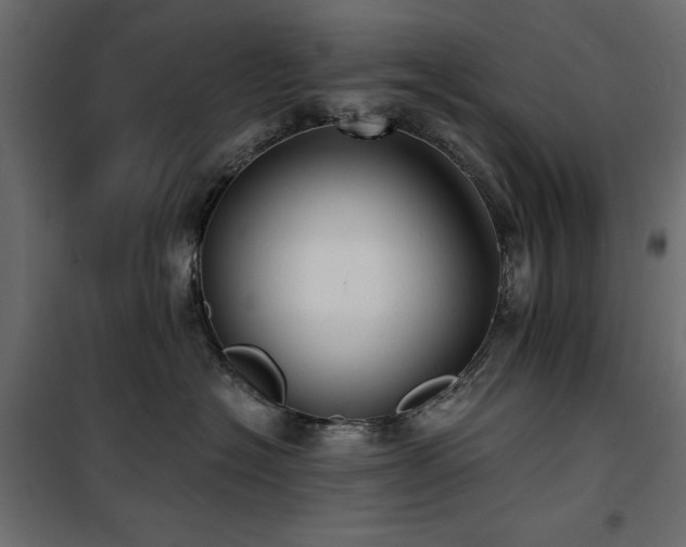 X0000100870574200806201244