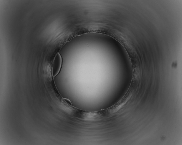 X0000100870575200806201244