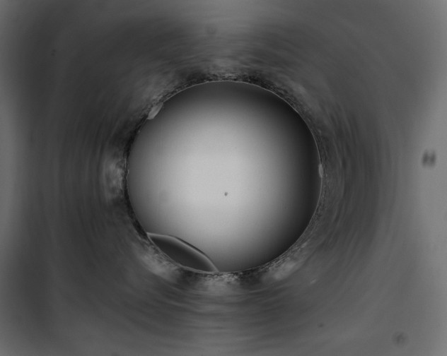 X0000100870576200806201244