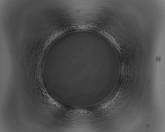 X0000100870577200806201243