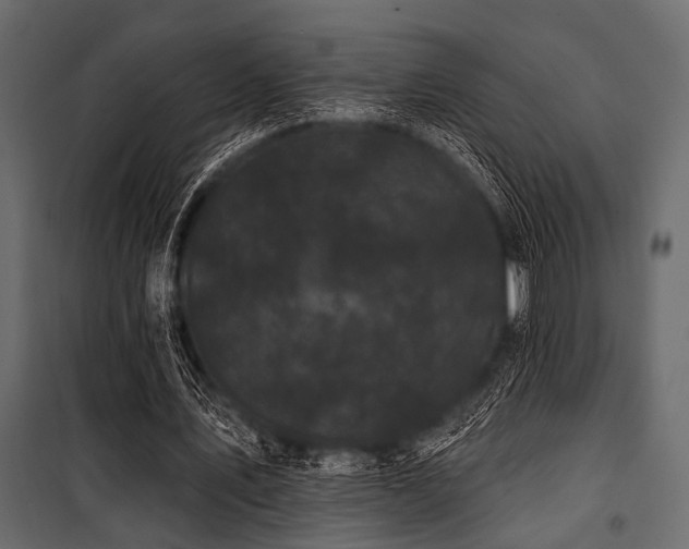 X0000100870579200806201243