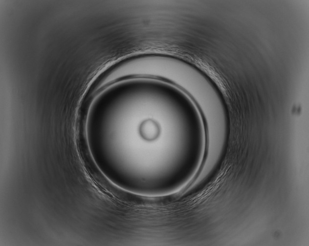 X0000100870580200806201243