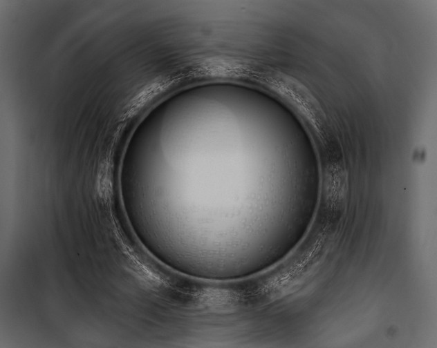 X0000100870581200806201243