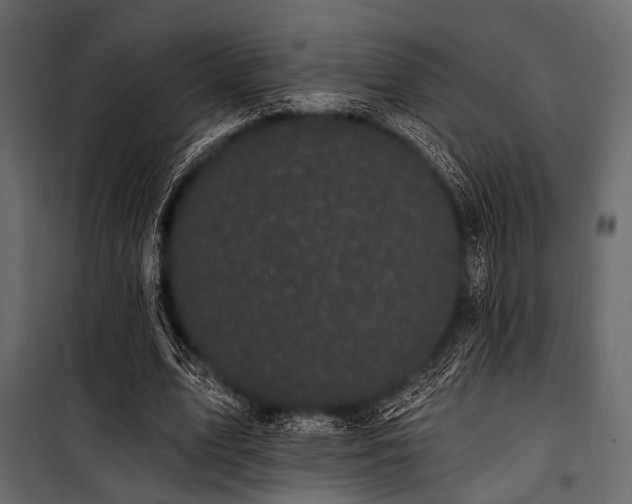 X0000100870583200806201243