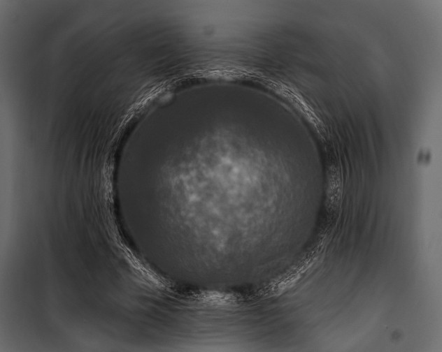 X0000100870585200806201243
