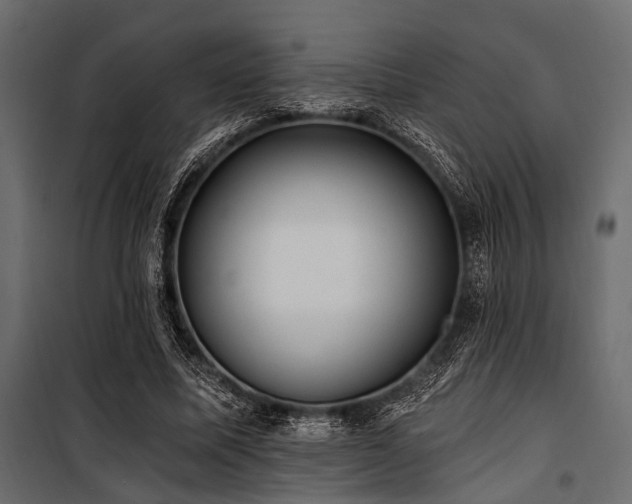 X0000100870587200806201243