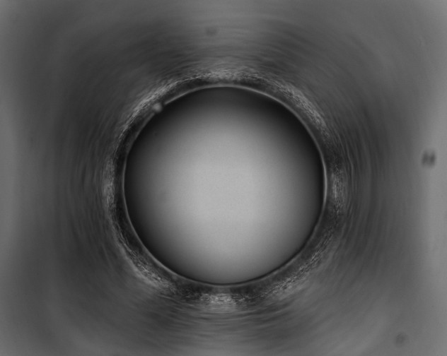 X0000100870588200806201243