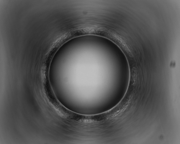 X0000100870590200806201243