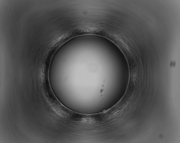 X0000100870591200806201242
