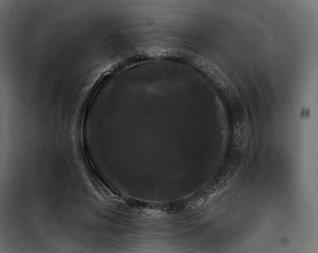 X0000100870592200806201242