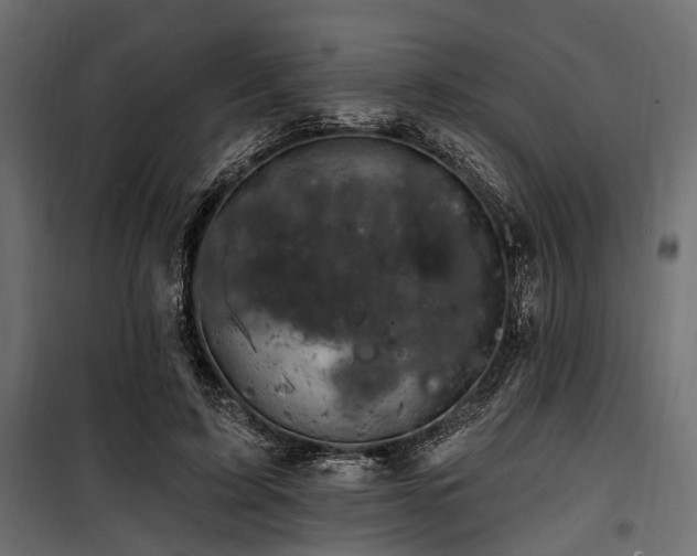 X0000100870595200806201242