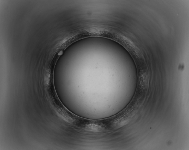 X0000100870596200806201242