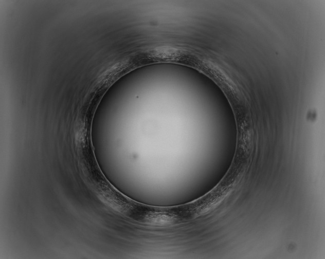 X0000100870597200806201242