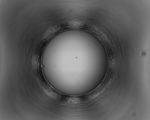 X0000100870599200806201242