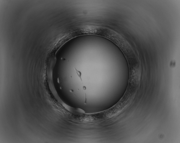 X0000100870600200806201242