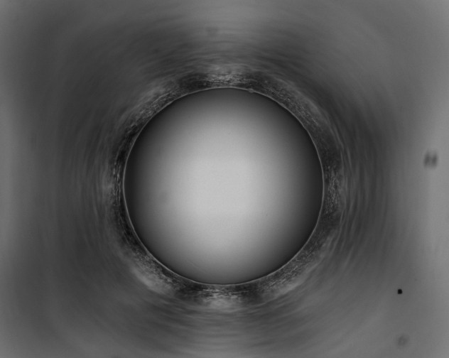 X0000100870601200806201242