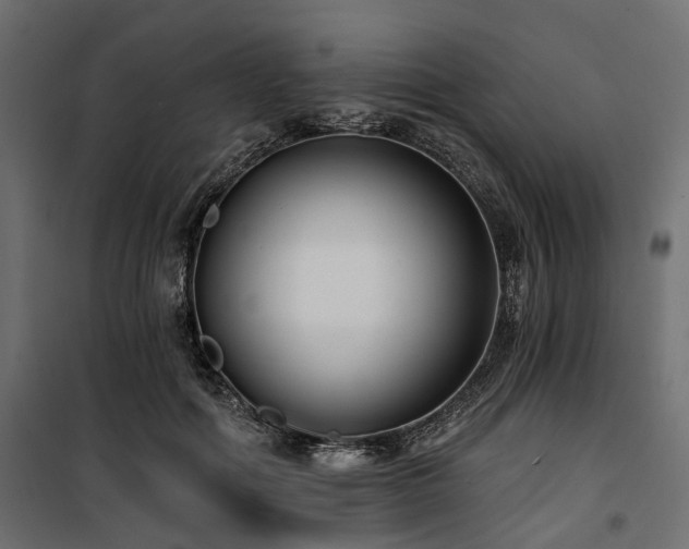 X0000100870602200806201242