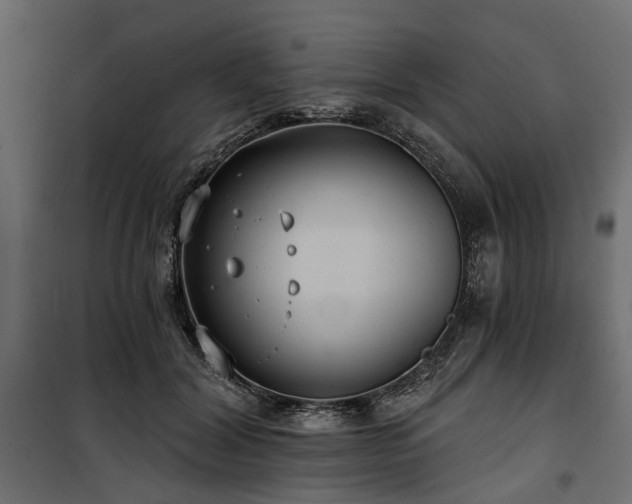 X0000100870604200806201242