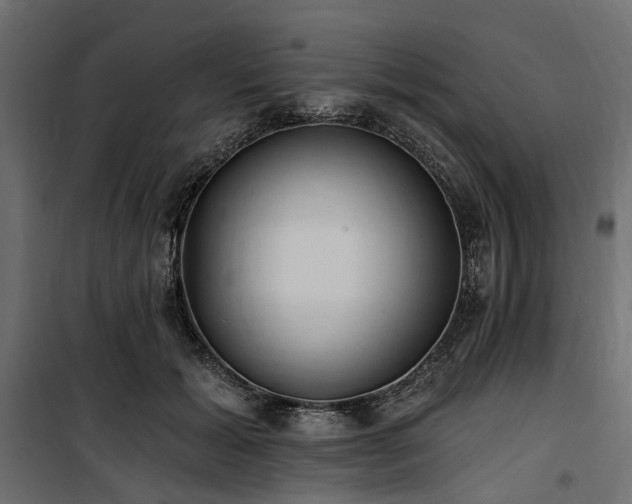 X0000100870605200806201242