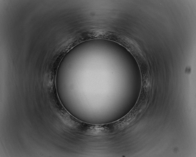 X0000100870607200806201242