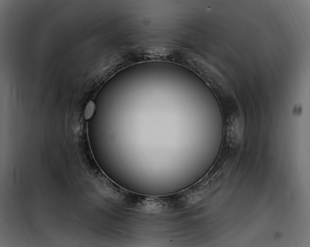 X0000100870608200806201242